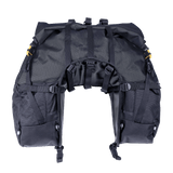 Great Basin Saddlebag