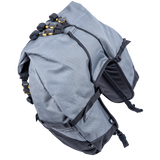 Great Basin Saddlebag