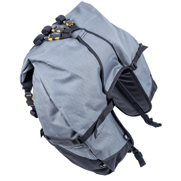 Great Basin Saddlebag