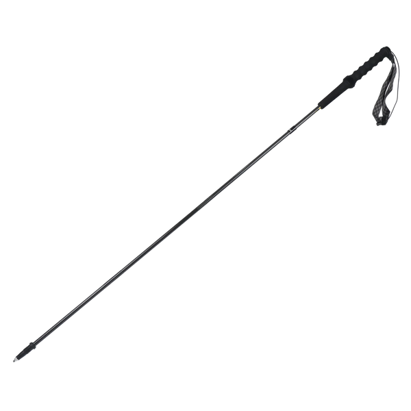 Trekking Poles Carbon